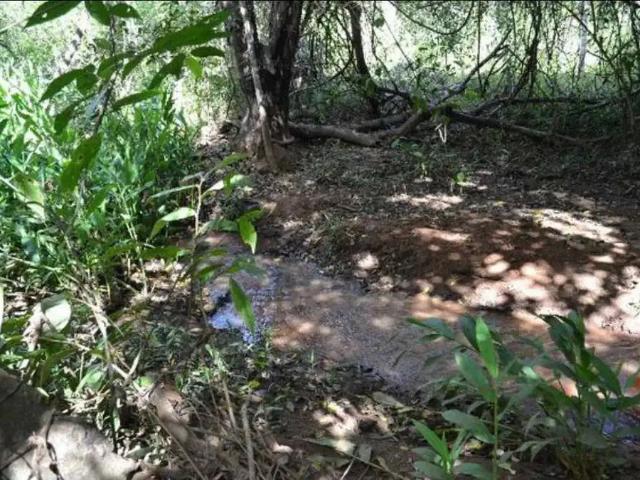 Sítio / Chácara para Venda em Petrolina de Goiás/GO Zona Rural