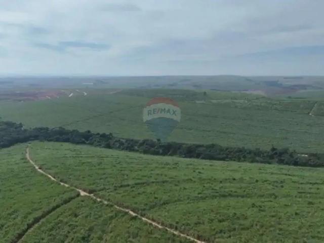 Sítio / Chácara para Venda em Pederneiras/SP Centro
