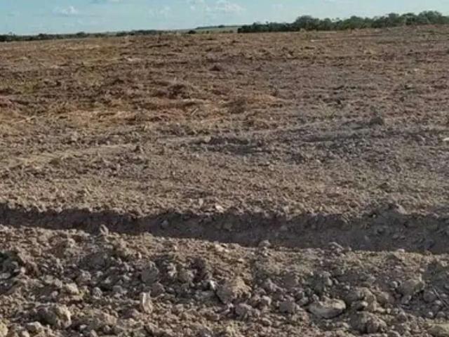Sítio / Chácara para Venda em Pedro Afonso/TO Setor Central