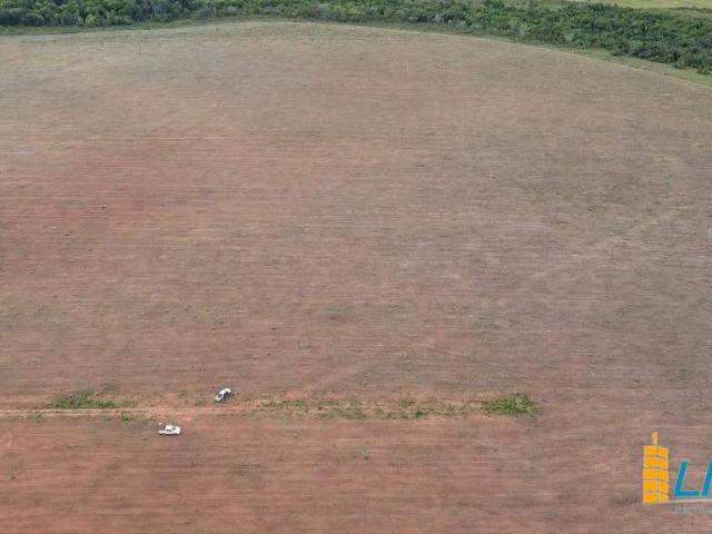 Sítio / Chácara para Venda em Pedro Afonso/TO Zona Rural