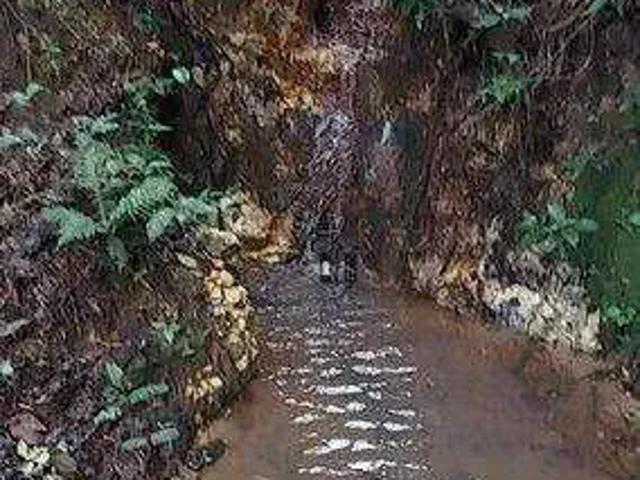 Sítio / Chácara para Venda em Pedro Teixeira/MG Centro 1 Quartos