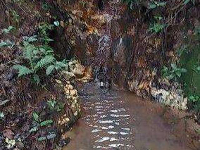 Sítio / Chácara para Venda em Pedro Teixeira/MG Centro 1 Quartos