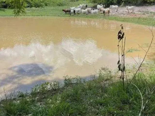 Sítio / Chácara para Venda em Pedro Velho/RN Centro 3 Quartos