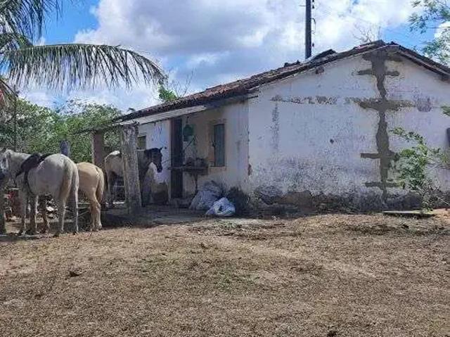 Sítio / Chácara para Venda em Pedro Velho/RN Centro 6 Quartos