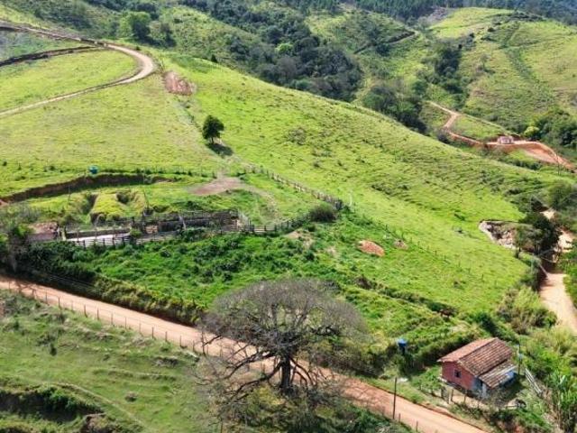 Sítio / Chácara para Venda em Pedra Bela