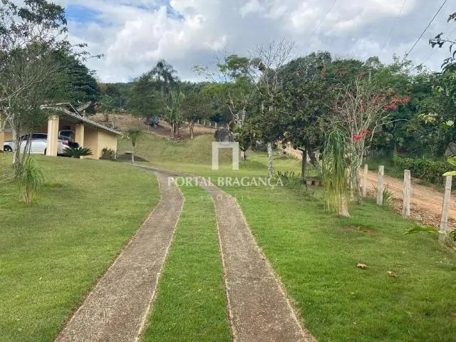 Sítio / Chácara para Venda em Pedra Bela/SP Maciel 3 Quartos
