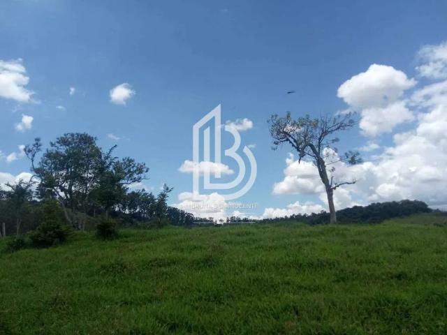 Sítio / Chácara para Venda em Pedra Bela/SP Área Rural de Pedra Bela