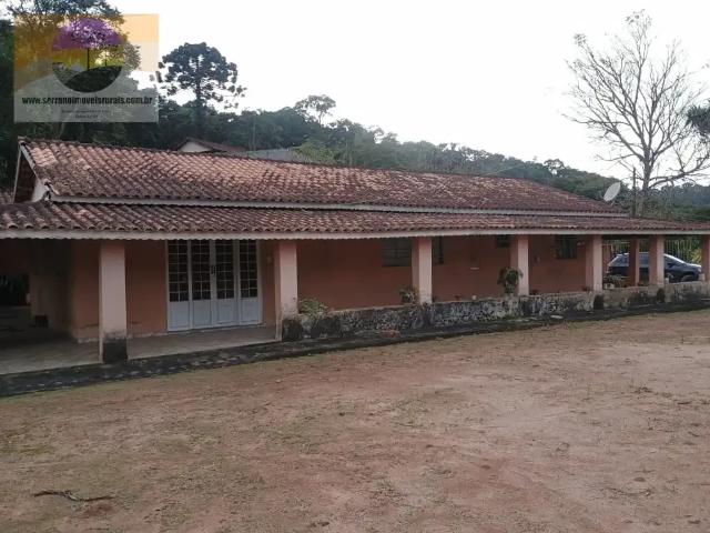 Sítio / Chácara para Venda em Pedra Bela/SP Centro 4 Quartos