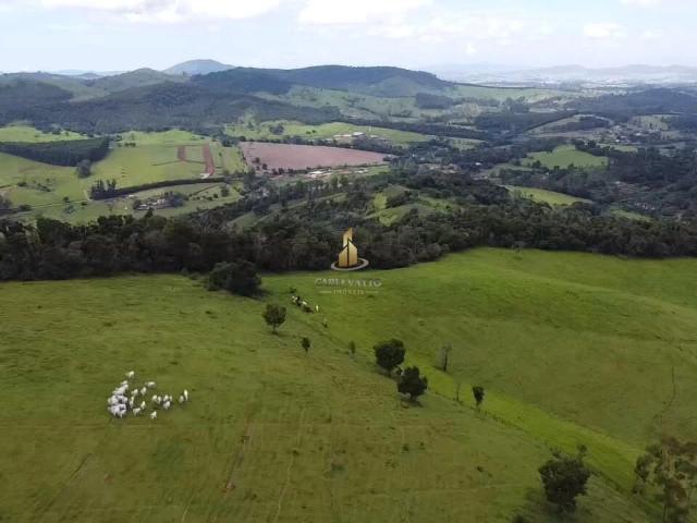 Sítio / Chácara para Venda em Pedra Bela/SP Centro