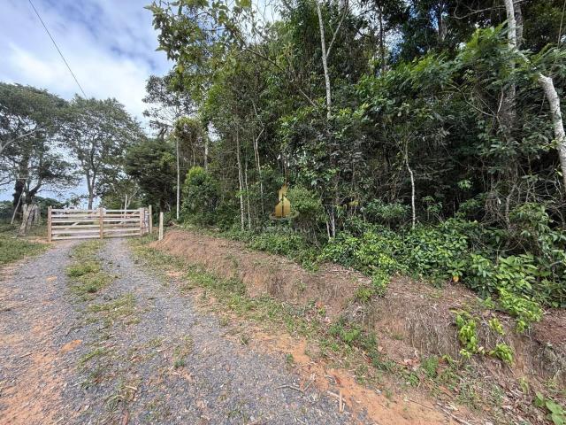 Sítio / Chácara para Venda em Pedra Bela/SP Centro 1 Quartos