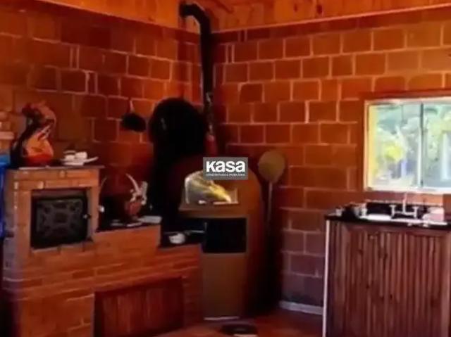 Sítio / Chácara para Venda em Pedra Bela/SP Centro 1 Quartos