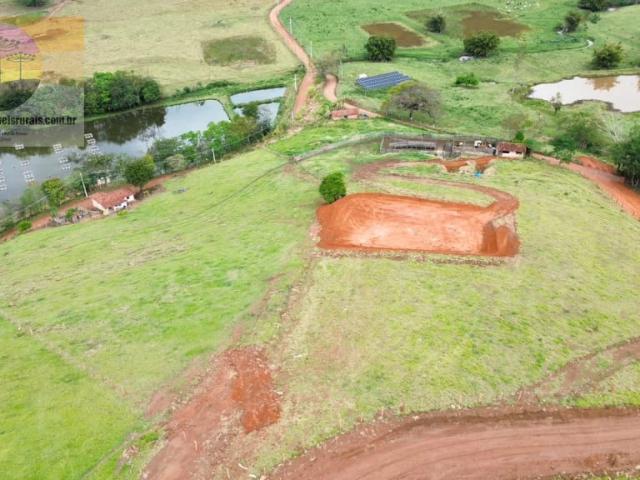 Sítio / Chácara para Venda em Pedra Bela/SP Centro