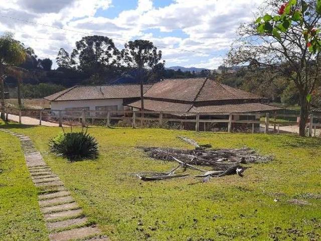 Sítio / Chácara para Venda em Pedra Bela/SP Centro 3 Quartos