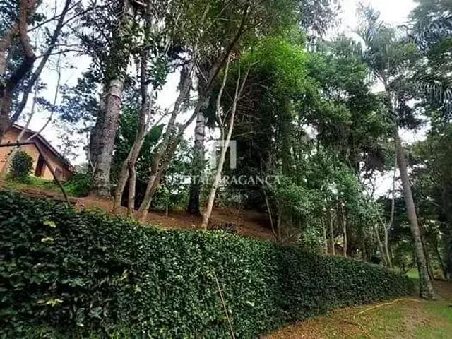 Sítio / Chácara para Venda em Pedra Bela/SP Limas 3 Quartos