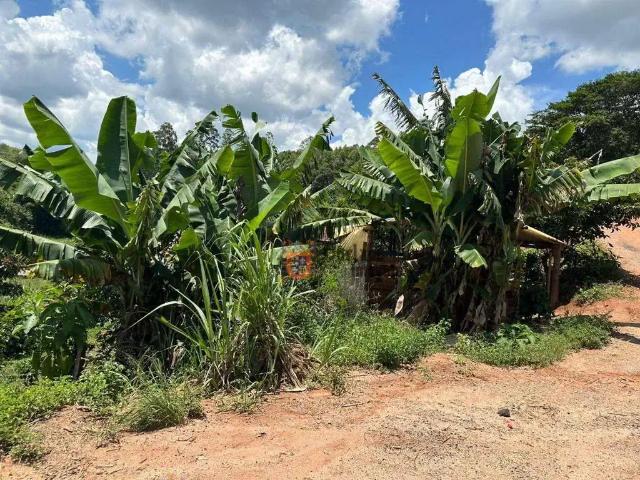 Sítio / Chácara para Venda em Pedra Bela/SP Pitangueiras 4 Quartos