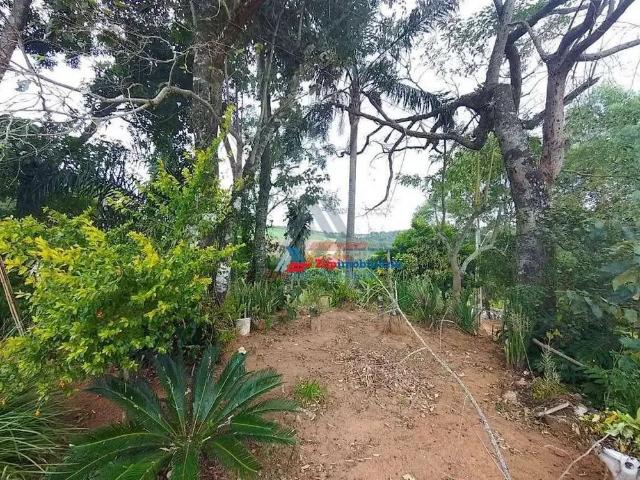 Sítio / Chácara para Venda em Pedra Bela/SP Pitangueiras