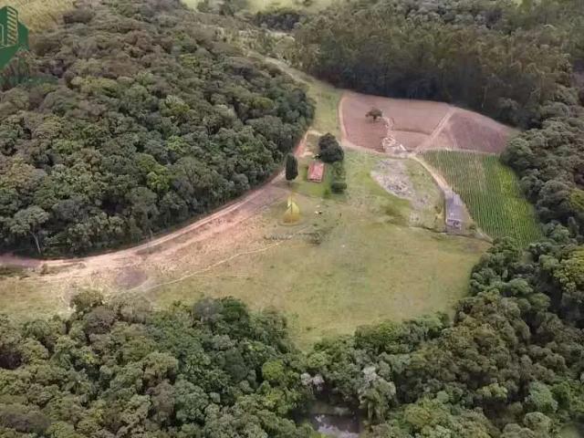 Sítio / Chácara para Venda em Pedra Bela/SP Pitangueiras