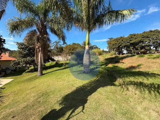 Sítio / Chácara para Venda em Pedra Bela/SP Pitangueiras 3 Quartos