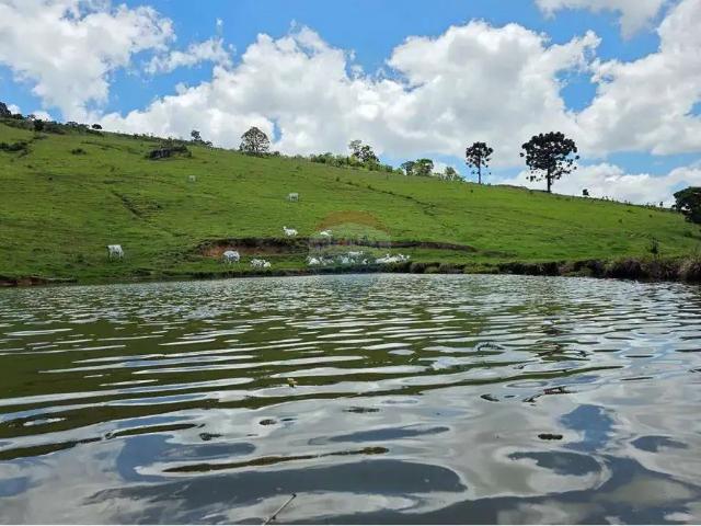 Sítio / Chácara para Venda em Pedra Bela/SP Pitangueiras do Meio 5 Quartos