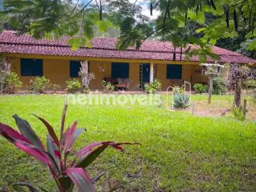 Sítio / Chácara para Venda em Pedra do Anta/MG Zona Rural 5 Quartos