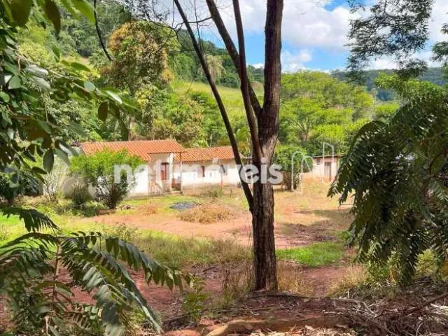 Sítio / Chácara para Venda em Pedra do Anta/MG Zona Rural 5 Quartos