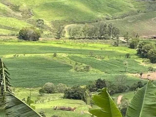 Sítio / Chácara para Venda em Pedralva/MG Zona Rural