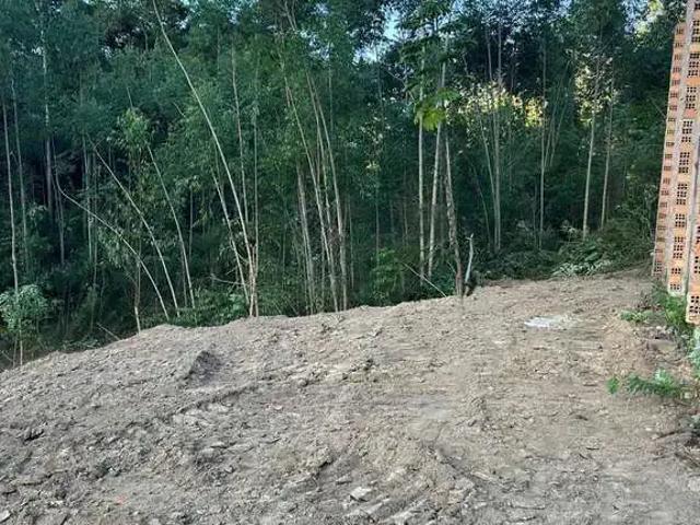 Sítio / Chácara para Venda em Pedras Grandes/SC Centro