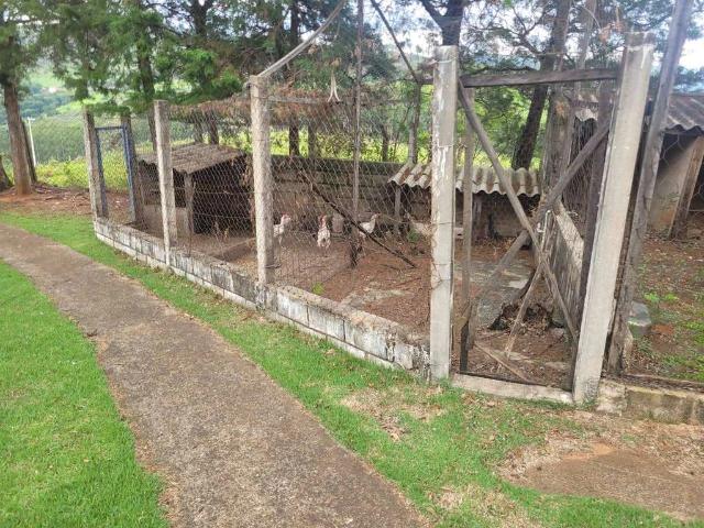 Sítio / Chácara para Venda em Pedreira/SP Zona Rural