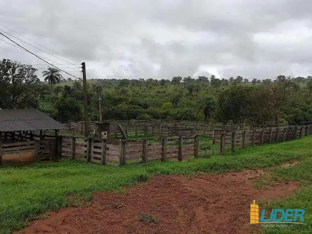 Sítio / Chácara para Venda em Perdizes/MG Zona Rural