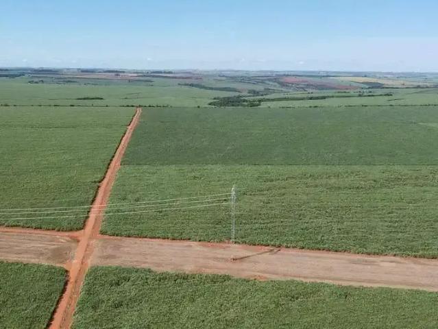 Sítio / Chácara para Venda em Perdizes/MG Zona Rural