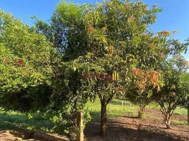 Sítio / Chácara para Venda em Pereiras/SP Zona Rural 2 Quartos