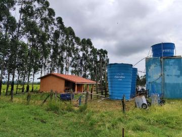 Sítio / Chácara para Venda em Pereiras/SP Zona Rural 3 Quartos