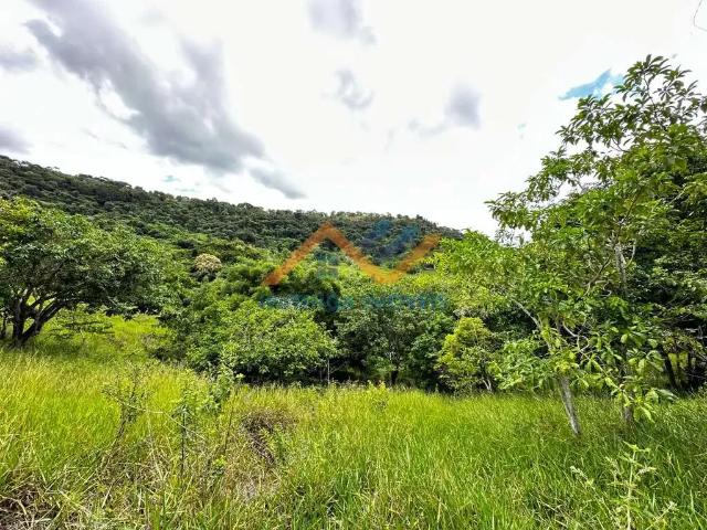 Sítio / Chácara para Venda em Periquito/MG Zona Rural
