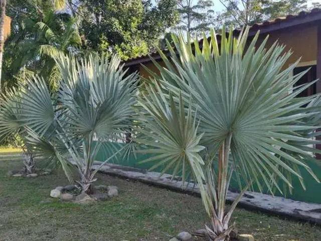 Sítio / Chácara para Venda em Peruíbe/SP Jardim Veneza 4 Quartos
