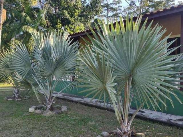 Sítio / Chácara para Venda em Peruíbe/SP Jardim Veneza 4 Quartos