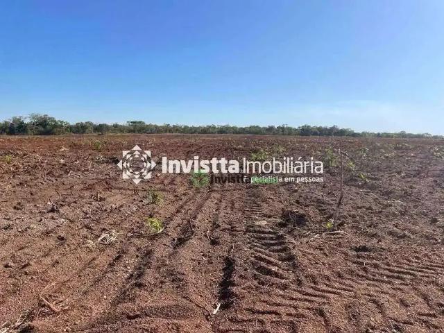 Sítio / Chácara para Venda em Pium/TO Centro