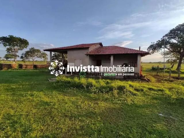 Sítio / Chácara para Venda em Pium/TO Centro