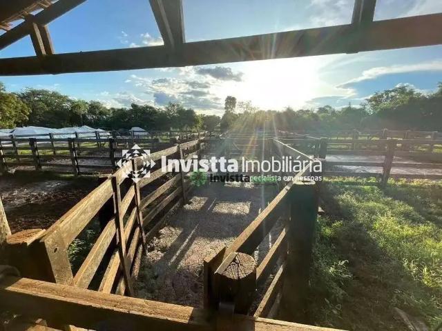 Sítio / Chácara para Venda em Pium/TO Centro