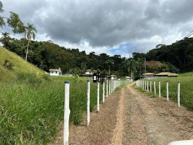 Sítio / Chácara para Venda em Piau/MG Centro 4 Quartos