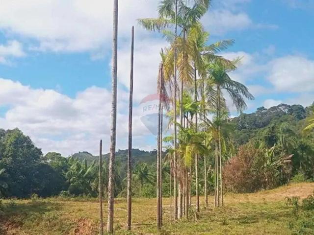 Sítio / Chácara para Venda em Piau/MG Centro