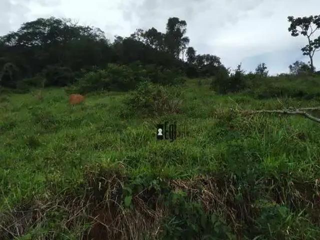 Sítio / Chácara para Venda em Piau/MG Centro