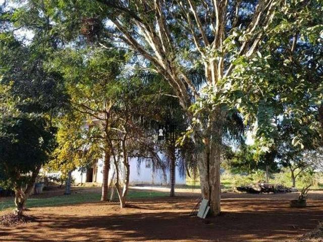 Sítio / Chácara para Venda em Piau/MG Centro 7 Quartos