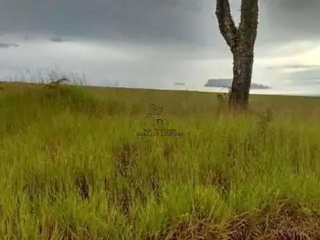 Sítio / Chácara para Venda em Piedade/SP Centro 3 Quartos