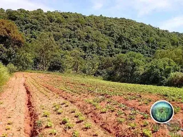 Sítio / Chácara para Venda em Piedade/SP Jurupará