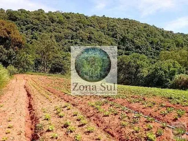 Sítio / Chácara para Venda em Piedade/SP Jurupará
