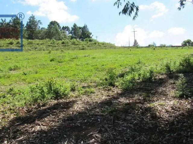 Sítio / Chácara para Venda em Piedade/SP Paulas e Mendes 4 Quartos