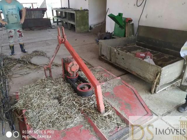Sítio / Chácara para Venda em Piedade/SP Vila Élvio 3 Quartos