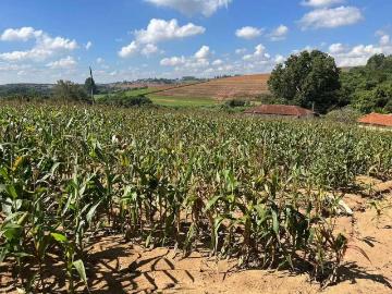 Sítio / Chácara para Venda em Piedade/SP Vila do Funil 1 Quartos