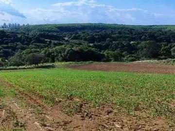 Sítio / Chácara para Venda em Piedade/SP Zona Rural 4 Quartos