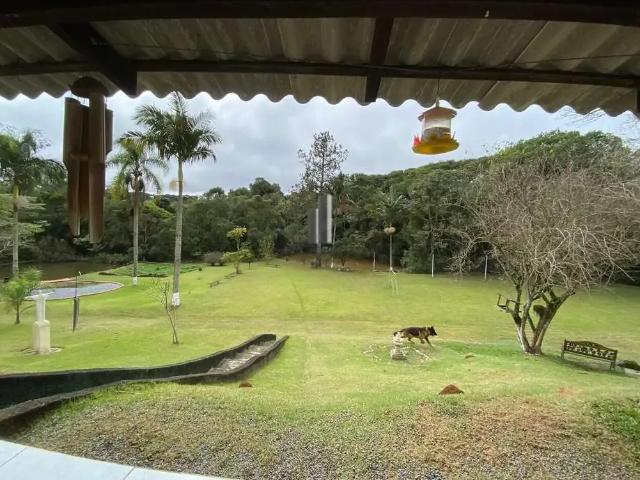 Sítio / Chácara para Venda em Piedade/SP Zona Rural 4 Quartos